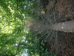 K10